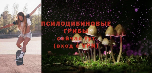 эйфоретик Алексин