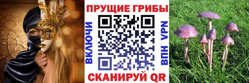 Псилоцибиновые грибы MAGIC MUSHROOMS  Усть-Лабинск 